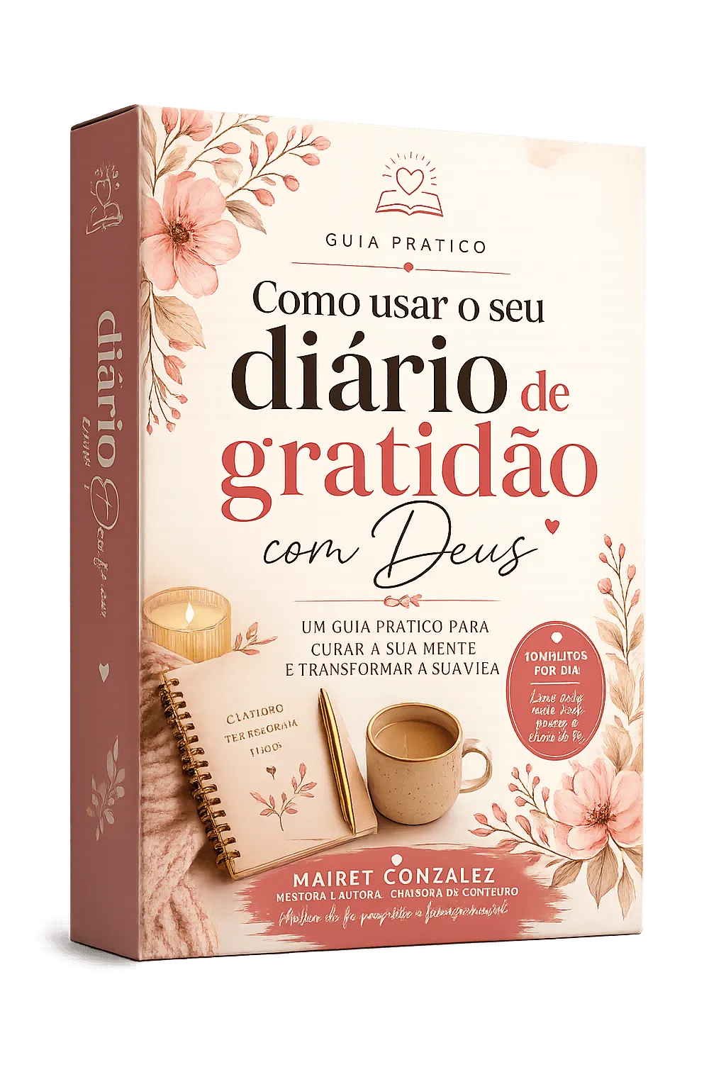Guia Como Usar o Diário
